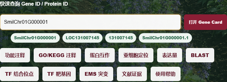 首页与基因搜索：输入区
